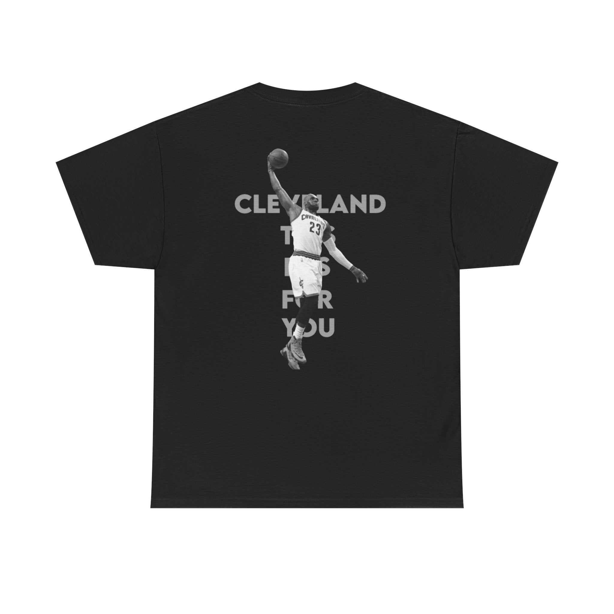 Lebron James t-shirt