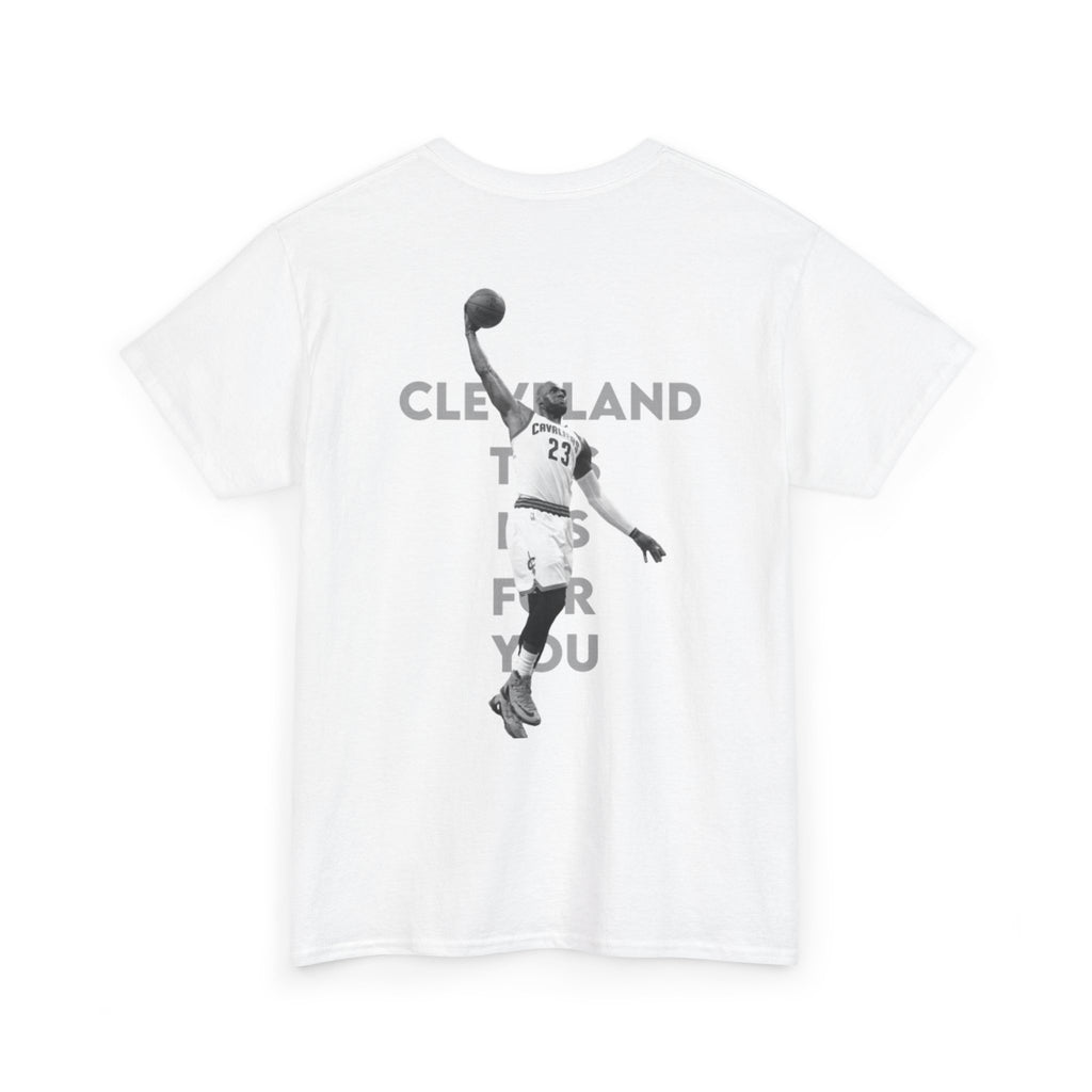 Lebron James t-shirt